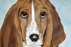 Basset Hound Pet Portrait