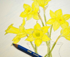how to paint daffodils