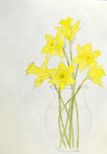 how to paint daffodils