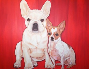frenchie & chihuahua portrait