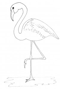 Flamingo-pattern