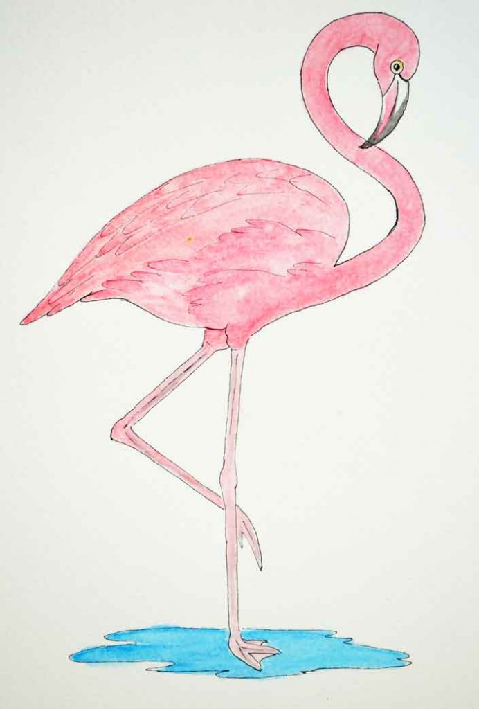 Flamingo-patterns