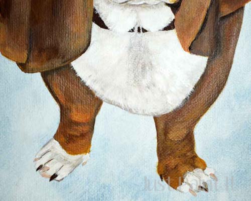 bassett hound portrait 