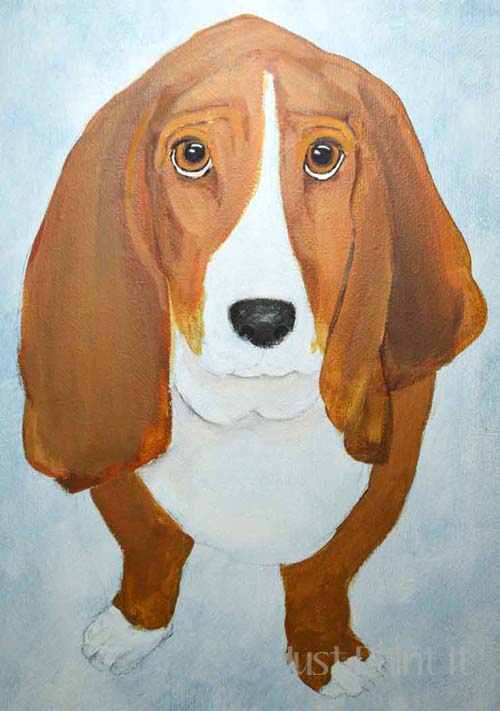 bassett hound portrait 
