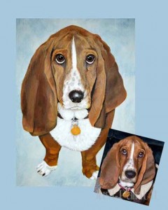 bassett hound portrait