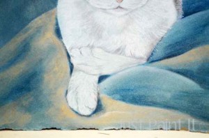 cat portrait with pencils
