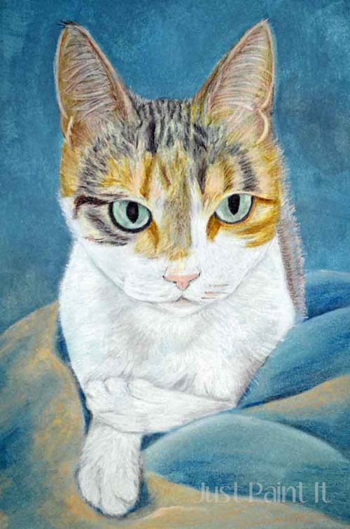 cat portrait with pencils 