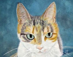 cat portrait with pencils