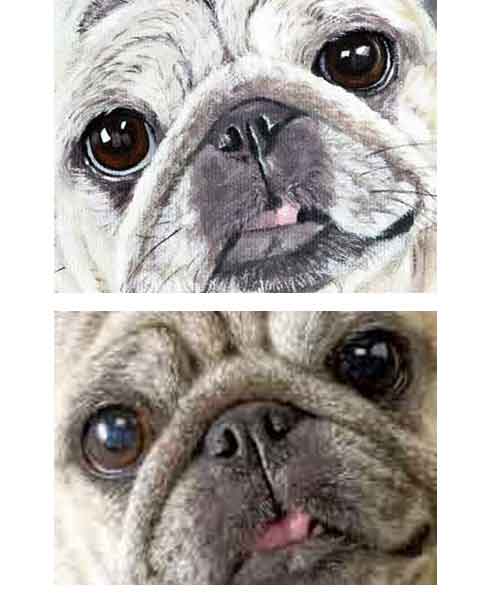 how-to-paint-dog-eyes
