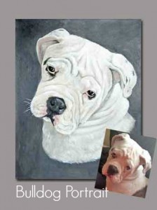 Bulldog-Portrait