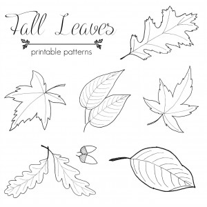 Fall Leaf Patterns