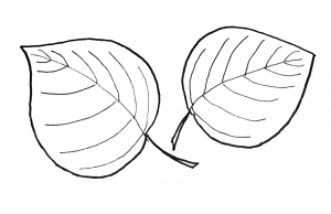 aspen leaf pattern