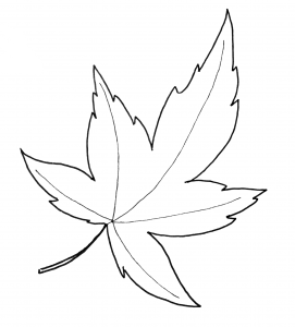 maple leaf pattern