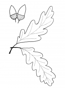 oak leaf pattern