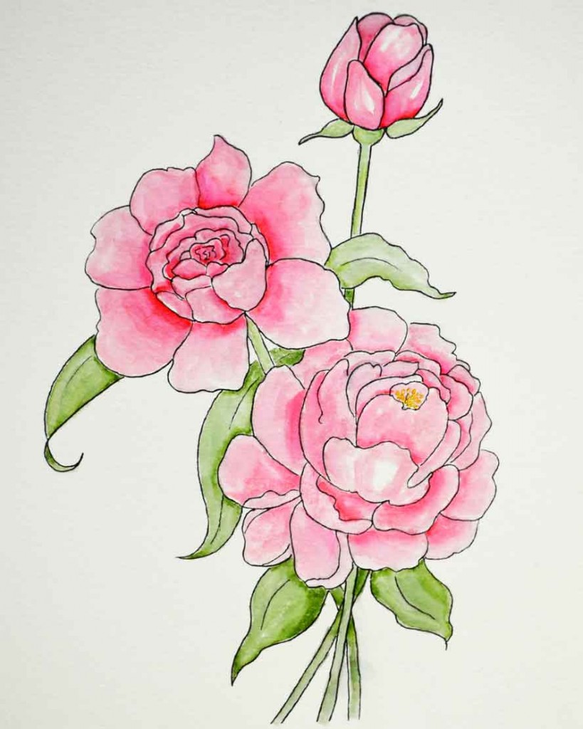Peony-Coloring-Page