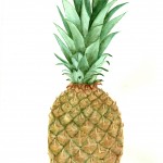 pineapple-watercolor-printable