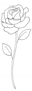 rose-pattern