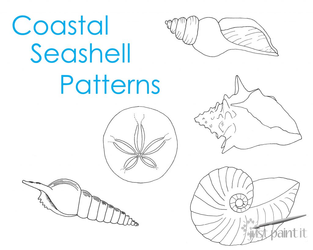 coastal-seashell-patterns