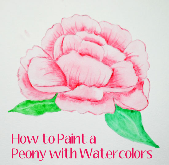 peony-with-watercolors