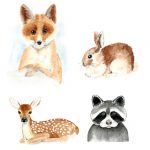 watercolor-baby-animals