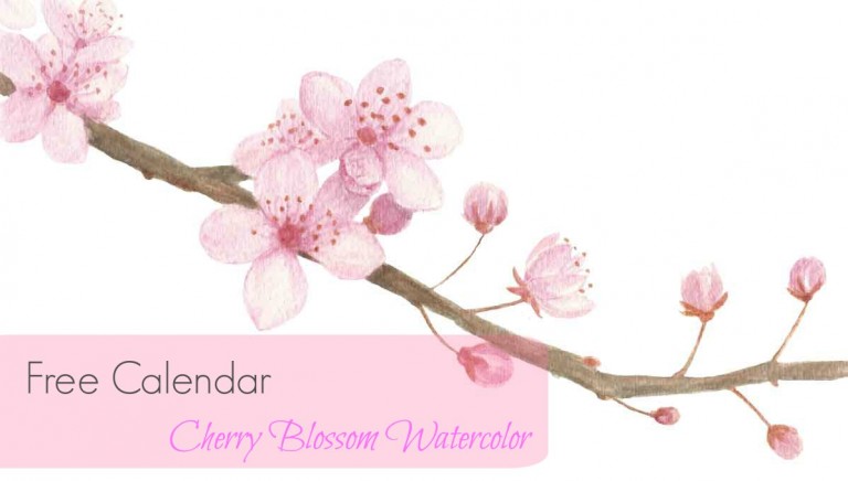 cherry-blossom-pattern
