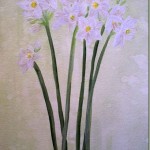 paint paperwhite narcissus