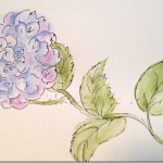 Paint Hydrangea Three Ways
