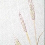 How to Paint Wheat