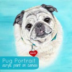 Pug-Portrait