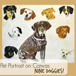 Pet Portrait of 9 dogs