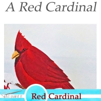 How to Paint a Red Cardinal